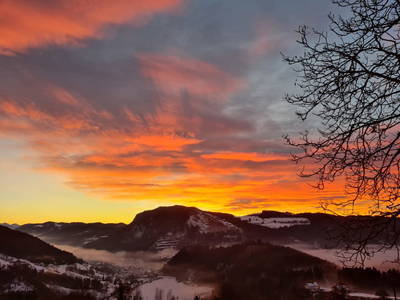 Bild 34 aus  Panorama Hof Fa. Sereinig