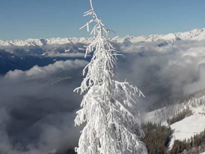 Bild 54 aus  Bacherhof