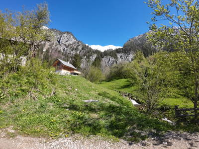 Bild 37 aus  Wolfbauer - Haus 1683