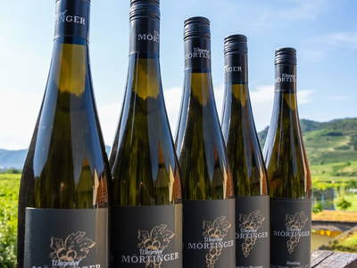 Bild 15 aus Winzerhof Mörtinger