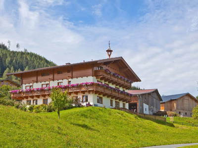 Bild 2 aus  Sauschneidhof