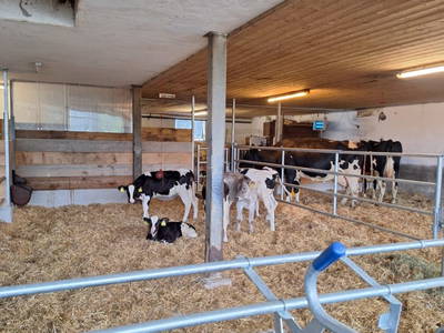 Bild 44 aus  Ferienhof Muxel
