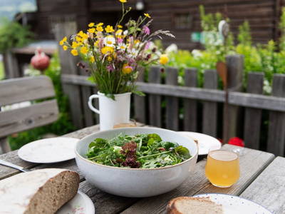 Bild 133 aus  Göttfriedbauer