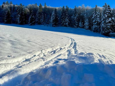 Bild 32 aus  Ferienhaus Oberpremgut