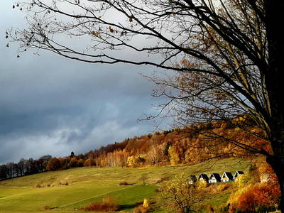 Finnhütten im Goldenen Herbst auf der Hohen Klinge