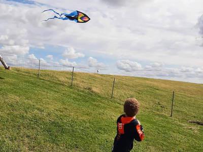 Drachen steigen lassen am Deich