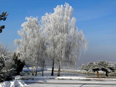 Bild 40 aus Bauernhof Webinger
