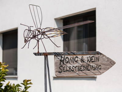 Bild 11 aus  Ferienwohnung Engel