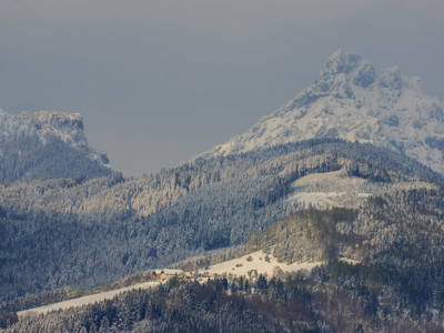 Bild 100 aus  Bammer im Herndlberg