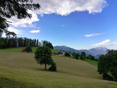 Bild 40 aus  Kirchenbichler