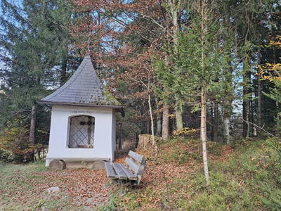 Bild 42 aus  Pfleger Ranch am Schönegg Gut