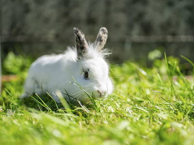 Bild 164 aus  Hagerhof