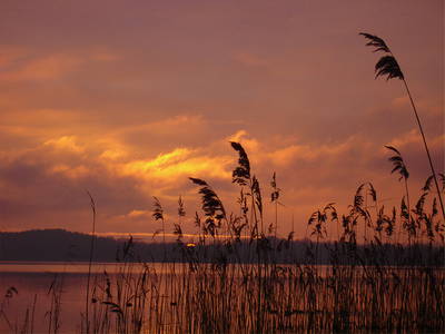 Bild 20 aus  Thomsdorf Sommerland
