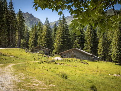 Bild 2 aus  Hintereggalm