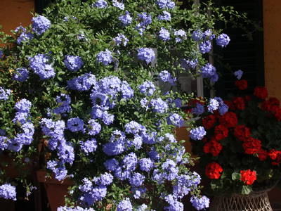 Bild 25 aus  Dichtlhof