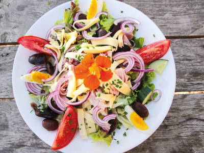 Bild 31 aus  Winzerhof & Buschenschank BOCKMOAR