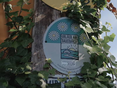 Bild 97 aus Bio-Bauernhof Haunschmid