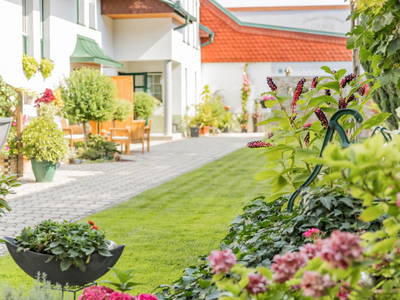 Bild 34 aus  Weingut-Gästehaus Gangl Hildegard