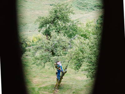 Bild 154 aus  Zechnerhof