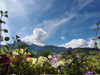 Bild 112 aus  Pesbichl