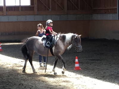 Bild 20 aus  Isländerhof Köck vlg. Kristanhof