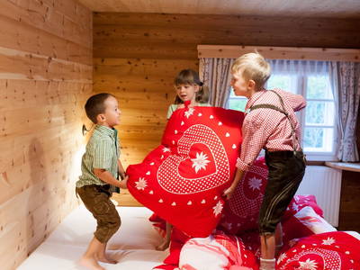 Bild 35 aus  Schmiedhofer