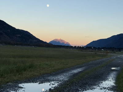 Bild 80 aus  S'Landhäuschen