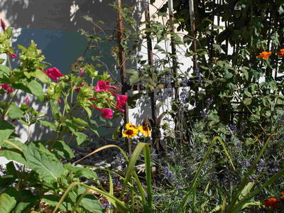 Bild 17 aus  Waldbothgut