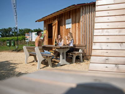 Bild 17 aus  Rebenhof