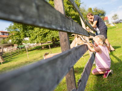 Bild 24 aus  Ferienhof Egger