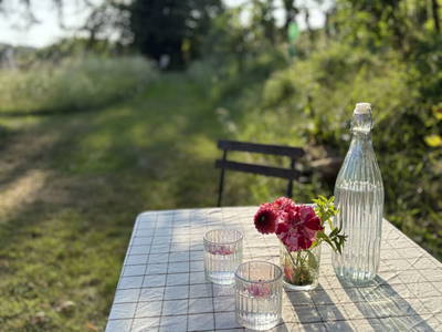 Bild 11 aus  Naturgartenurlaub - Steffis Ferienwohnungen