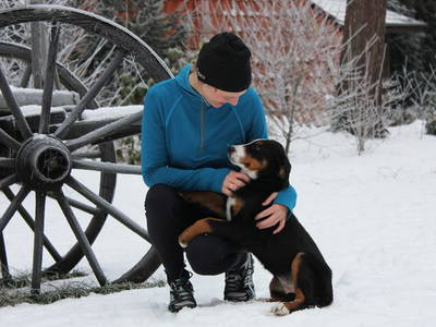 Bild 15 aus  Bauernhofferien Weseloh