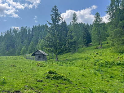 Bild 15 aus Neuwirth Hütte