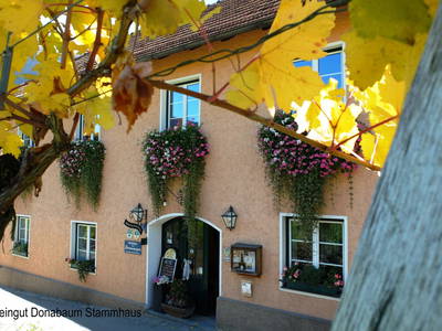 Bild 2 aus  Weingut STRAWANZER Donabaum