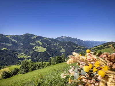 Bild 51 aus  Durchholzalm | Das Chalet am Floitensberg