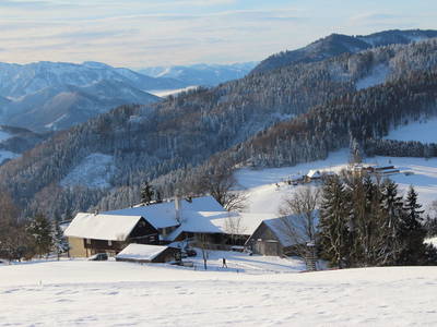 Bild 15 aus  Hirmhof