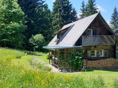 Bild 27 aus  Möschbauer