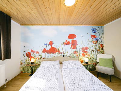 Bild 294 aus  Pimperlhof