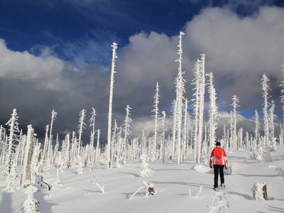 Bild 27 aus  Gut Pecketsberg