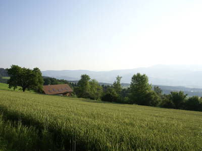 Bild 11 aus  Beim Öllerbauer