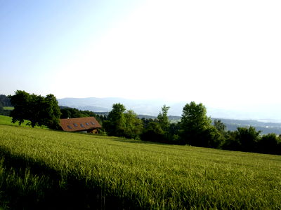 Bild 12 aus Beim Öllerbauer