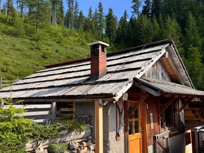 Bild 168 aus  Wallneralm