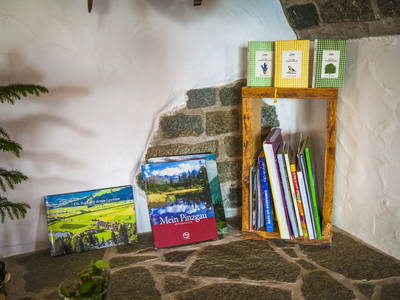 Bild 88 aus  Naglbauer