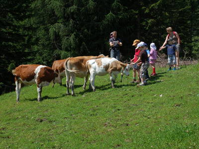 Bild 15 aus  Bäuerlicher Gästering Großarltal