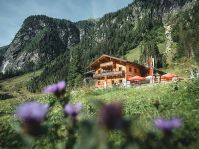 Bild 123 aus  Enzianhütte im Habachtal