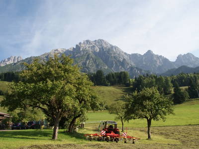 Bild 36 aus  Albachhof