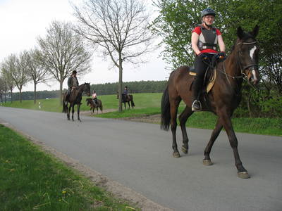 Bild 11 aus  Ferienhof Klaucke