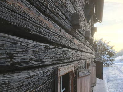 Bild 20 aus  Lutzmannalm