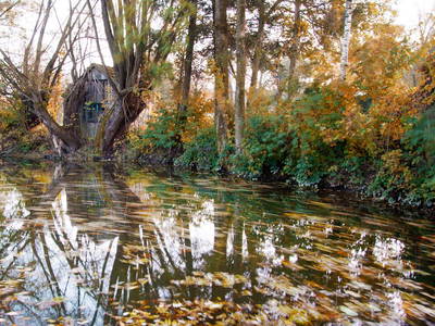 Bild 11 aus  Landhaus Essl