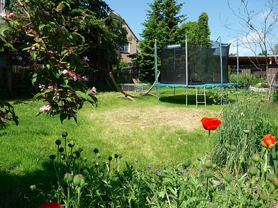 Bild 21 aus  Ferienhof Wolschendorf